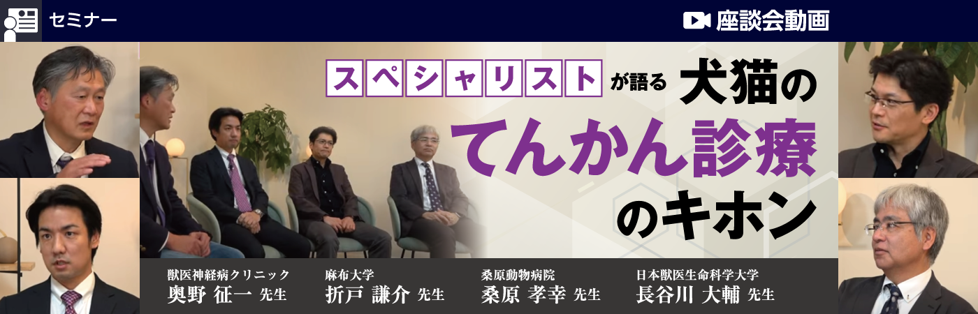 スペシャリストが語る犬猫のてんかん診療のキホン