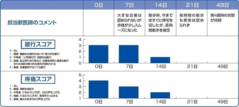 CARcasereport1_chart1