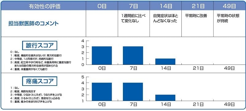 CARcasereport2_chart1