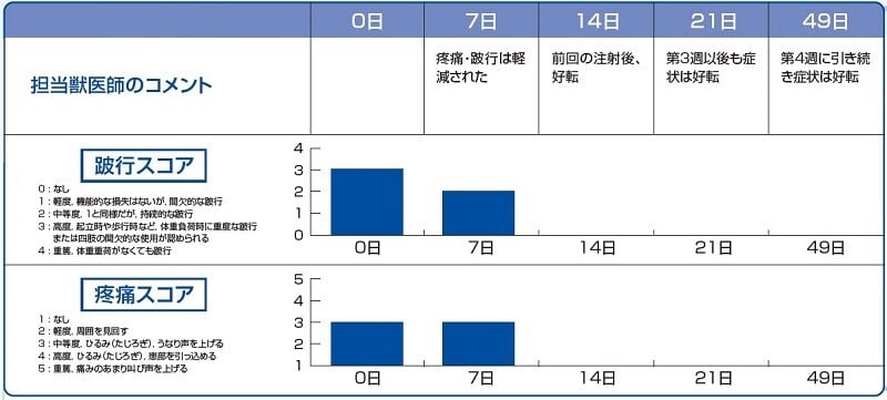 CARcasereport3_chart1