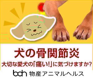 bnr_asayota_300_250