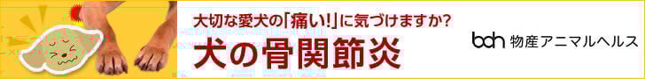 bnr_asayota_728_90
