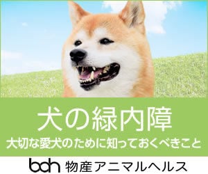 bnr_dog_glaucoma_300_250