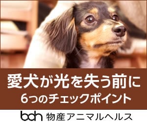 bnr_dogeyecare_300_250
