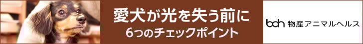 bnr_dogeyecare_728_90