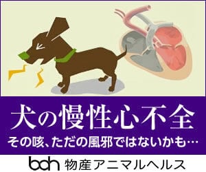 bnr_dogheart_300_250