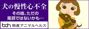 bnr_dogheart_350_115