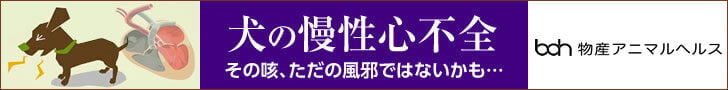 bnr_dogheart_728_90