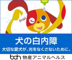 bnr_hakunaishou_300_250