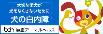 bnr_hakunaishou_350_115