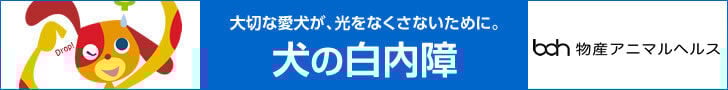 bnr_hakunaishou_728_90
