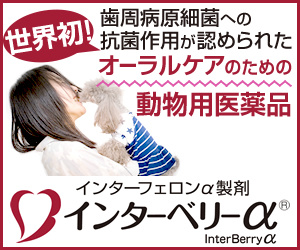 bnr_interberry_300_250
