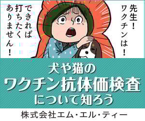 bnr_koutaika_300_250