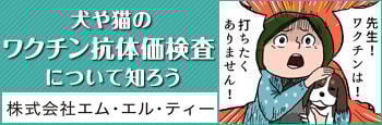 bnr_koutaika_350_115