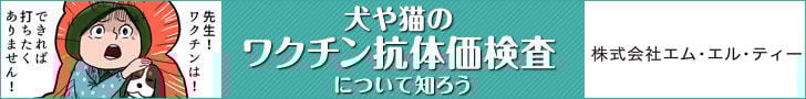 bnr_koutaika_728_90