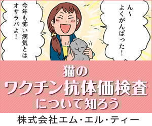 bnr_koutaika_cat_300_250