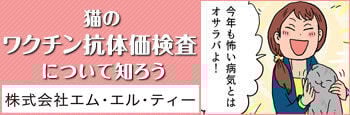 bnr_koutaika_cat_350_115