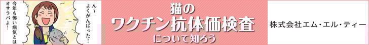 bnr_koutaika_cat_728_90