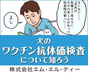 bnr_koutaika_dog_300_250