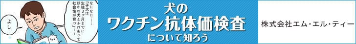 bnr_koutaika_dog_728_90