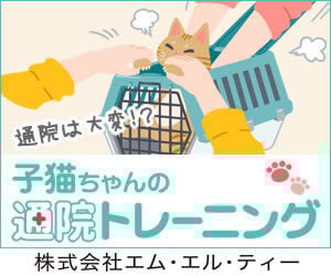 bnr_neko_tsuin_300_250