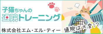 bnr_neko_tsuin_350_115