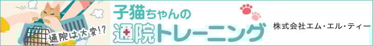 bnr_neko_tsuin_728_90