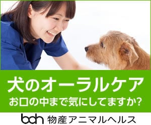 bnr_oral_300_250