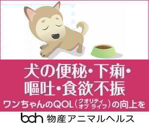 bnr_shokuyoku_300_250