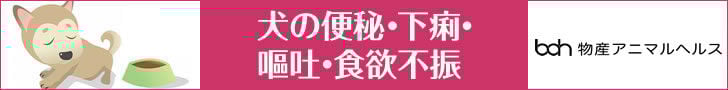 bnr_shokuyoku_728_90