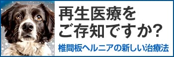 bnr_stemcure_350_115