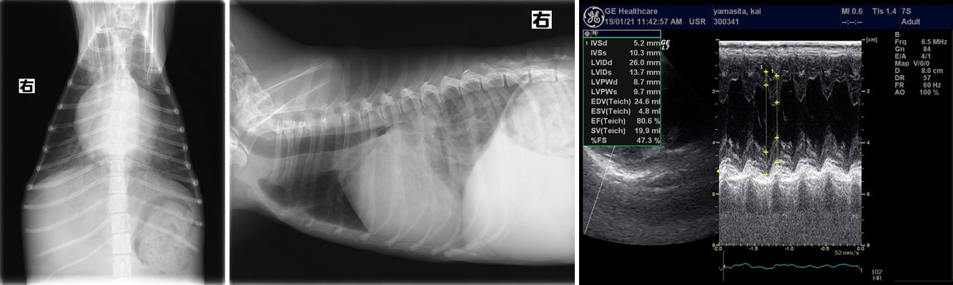 casestudygroup_case008_001_001