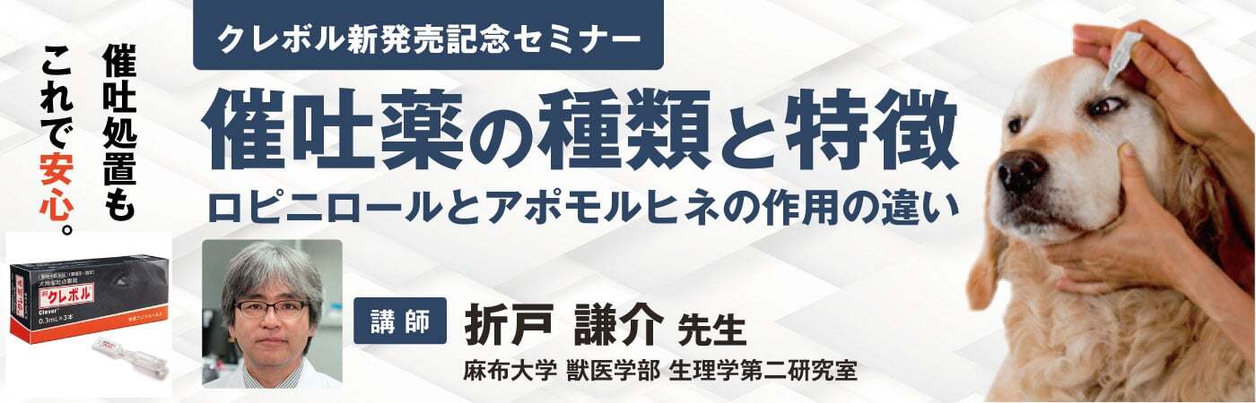 セミナー動画配信｜小動物医療従事者向け Vet-i ch｜物産アニマルヘルス