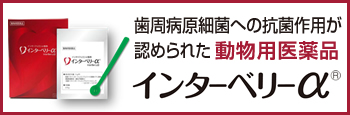 インターベリーα®｜vet-i-ch｜小動物医療従事者向け Vet-i ch｜物産