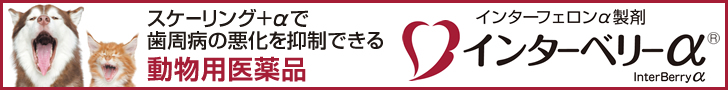 bnr_interberry_728_90