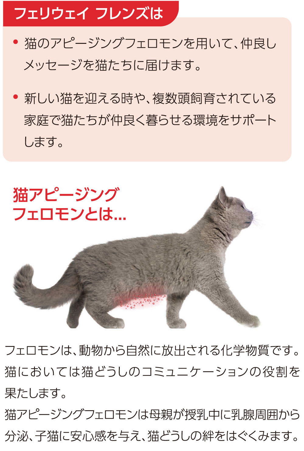 フェリウェイ® フレンズ｜vet-i-ch｜小動物医療従事者向け Vet-i ch