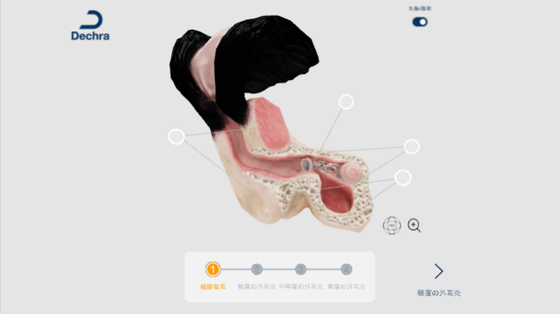 4D_model_dog_ear