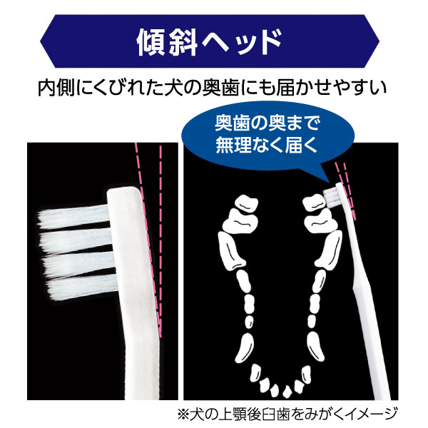 ペットキッス® ベッツドクタースペック デンタルブラシEX｜vet-i-ch