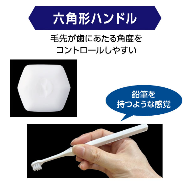 特大！コヨーテの犬歯 10本セット（穴あり） ☆即納☆ 特大！コヨーテ
