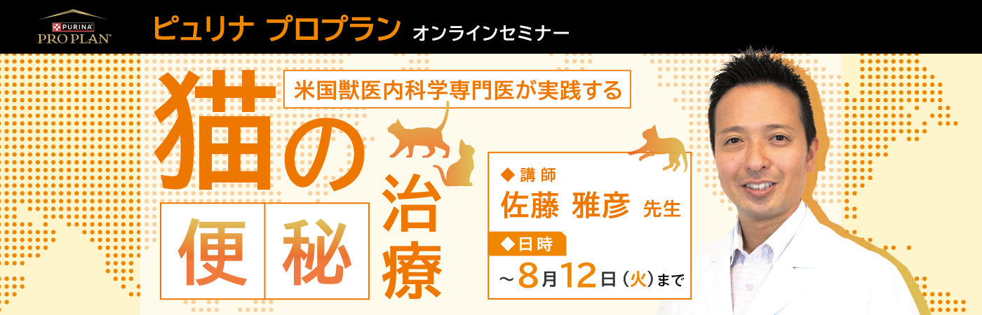 猫の便秘治療