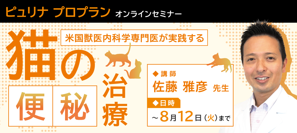 小動物外科専門誌 SURGEON 64 interzoo 獣医 専門 書籍 51LE7y8AXoL._AC_SY200_QL15_.jpg