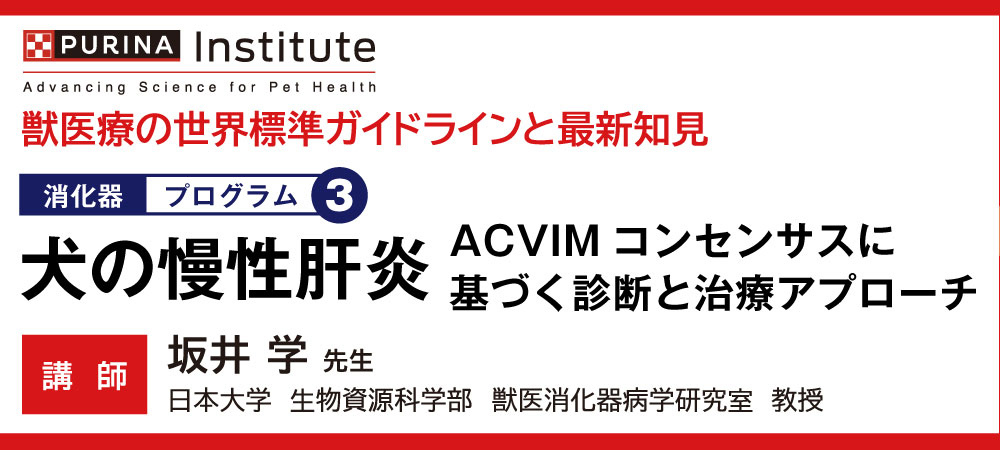 TOP｜小動物医療従事者向け Vet-i ch｜物産アニマルヘルス