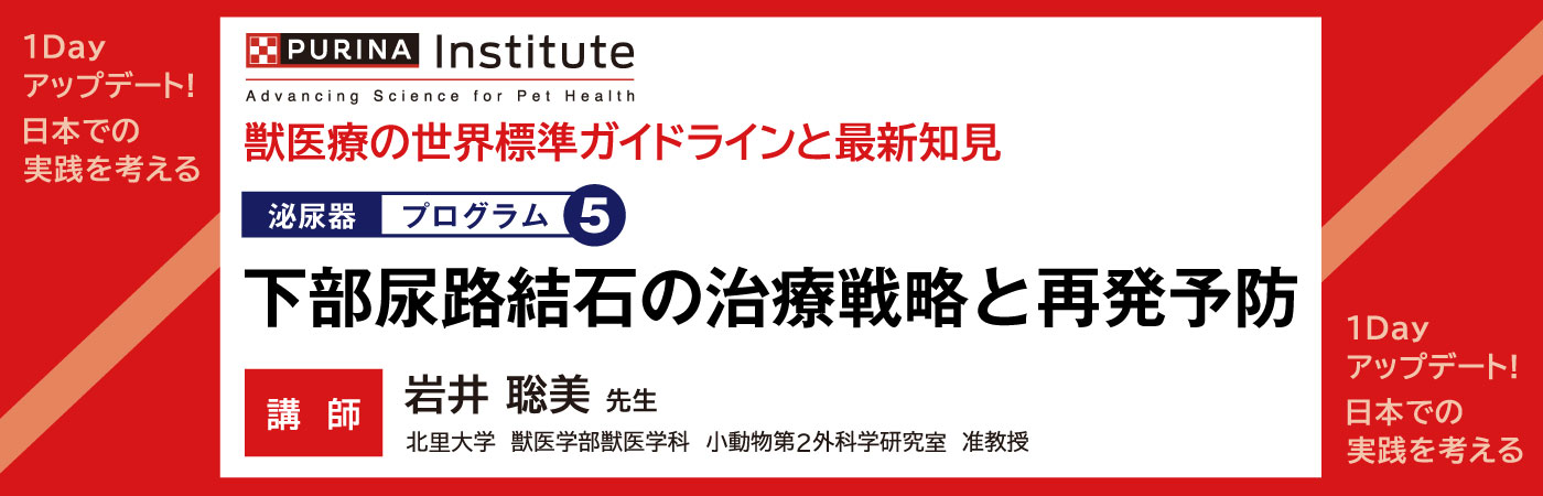 セミナー動画配信｜小動物医療従事者向け Vet-i ch｜物産アニマルヘルス