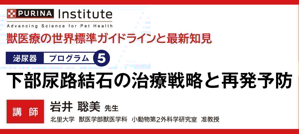 下部尿路結石の治療戦略と再発予防