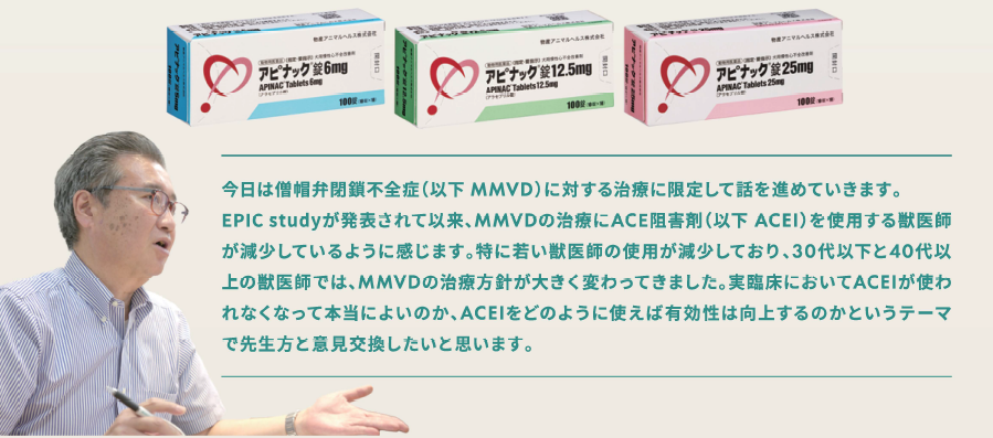 mmvd2