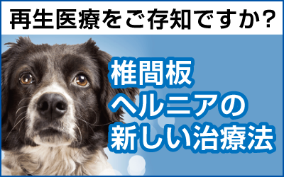 再生医療をご存知ですか？