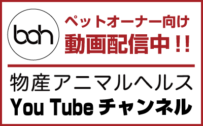 物産アニマルヘルスYOUTUBEチャンネル