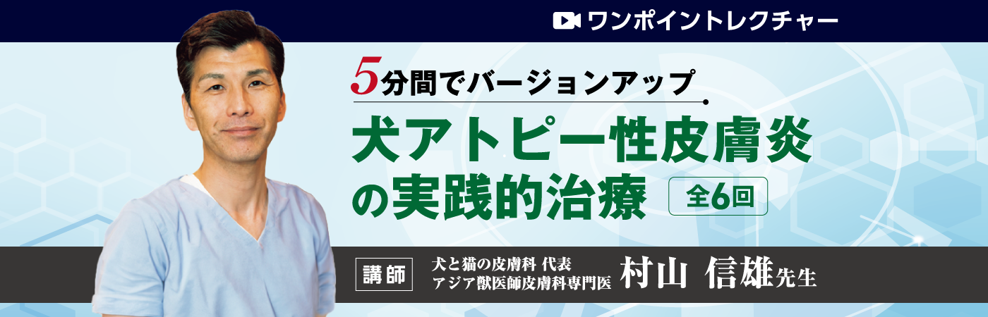 犬アトピー性皮膚炎の実践的治療