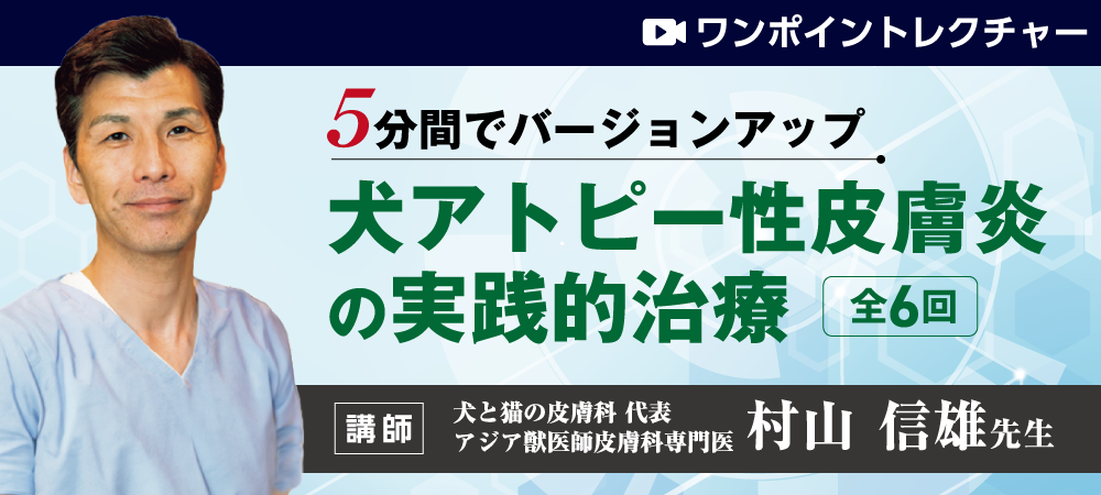 犬アトピー性皮膚炎の実践的治療