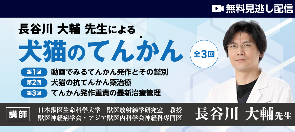 犬猫のてんかん（全3回）